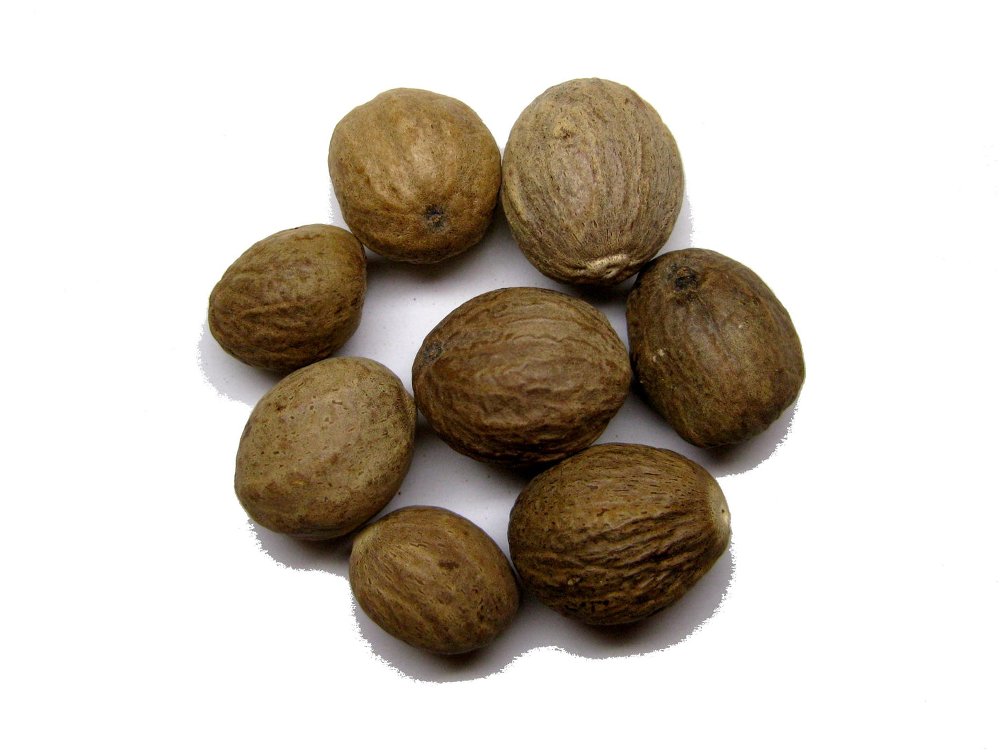 Muškátový oriešok. 50 gr