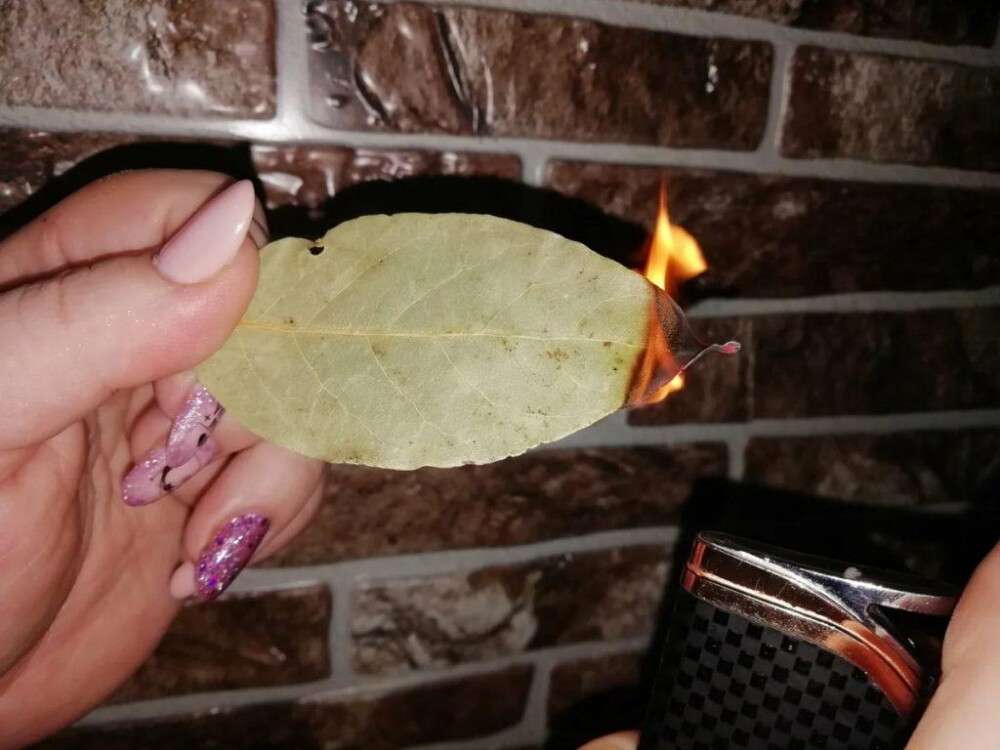 Pálenie bobkového listu – tradícia s vôňou domova 🌿